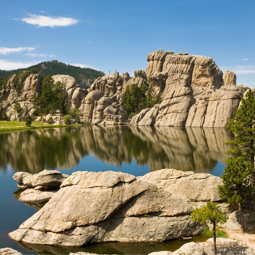 Sylvan Lake Black Hills South Dakota Scenic view of Sylvan Lake in the Black Hills of South Dakota, a popular destination for hiking, wildlife viewing, and outdoor recreation.