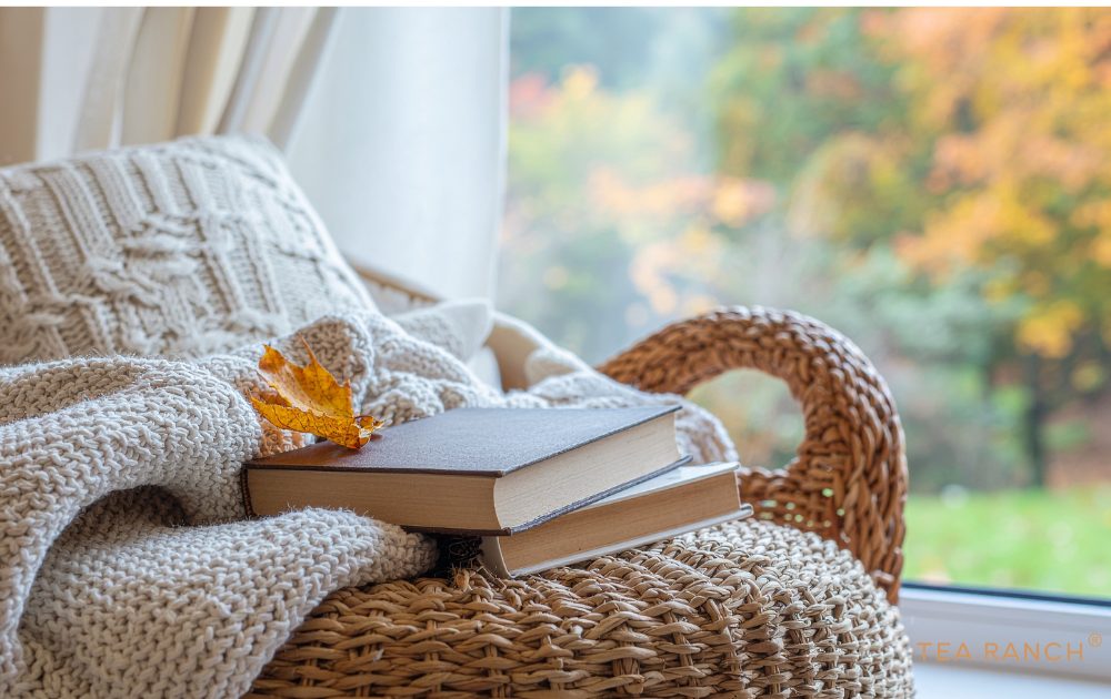 Cozy chair with books and a soft blanket beside a window, creating a relaxing space for slowing down and enjoying quiet moments.