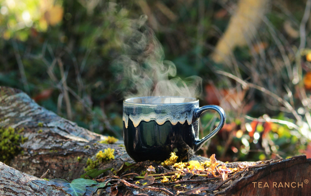 Steaming cup of tea resting on a tree stump beside a peaceful forest trail. Steaming cup of tea resting on a tree stump