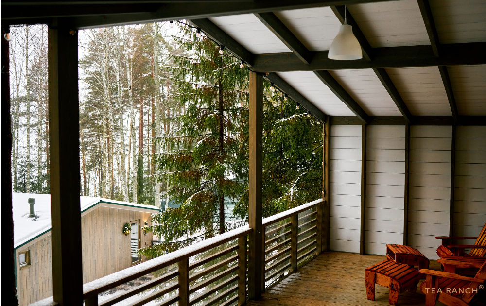 Wooden chairs overlooking a peaceful winter forest at sunrise. Wooden chairs overlooking a peaceful winter forest at sunrise.