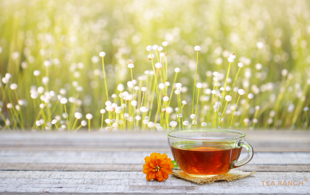 Enjoying Tea While Watching a Pollinator-Friendly Garden Thrive Cup of loose-leaf tea overlooking a backyard filled with native wildflowers that support bees, butterflies, and other pollinators.