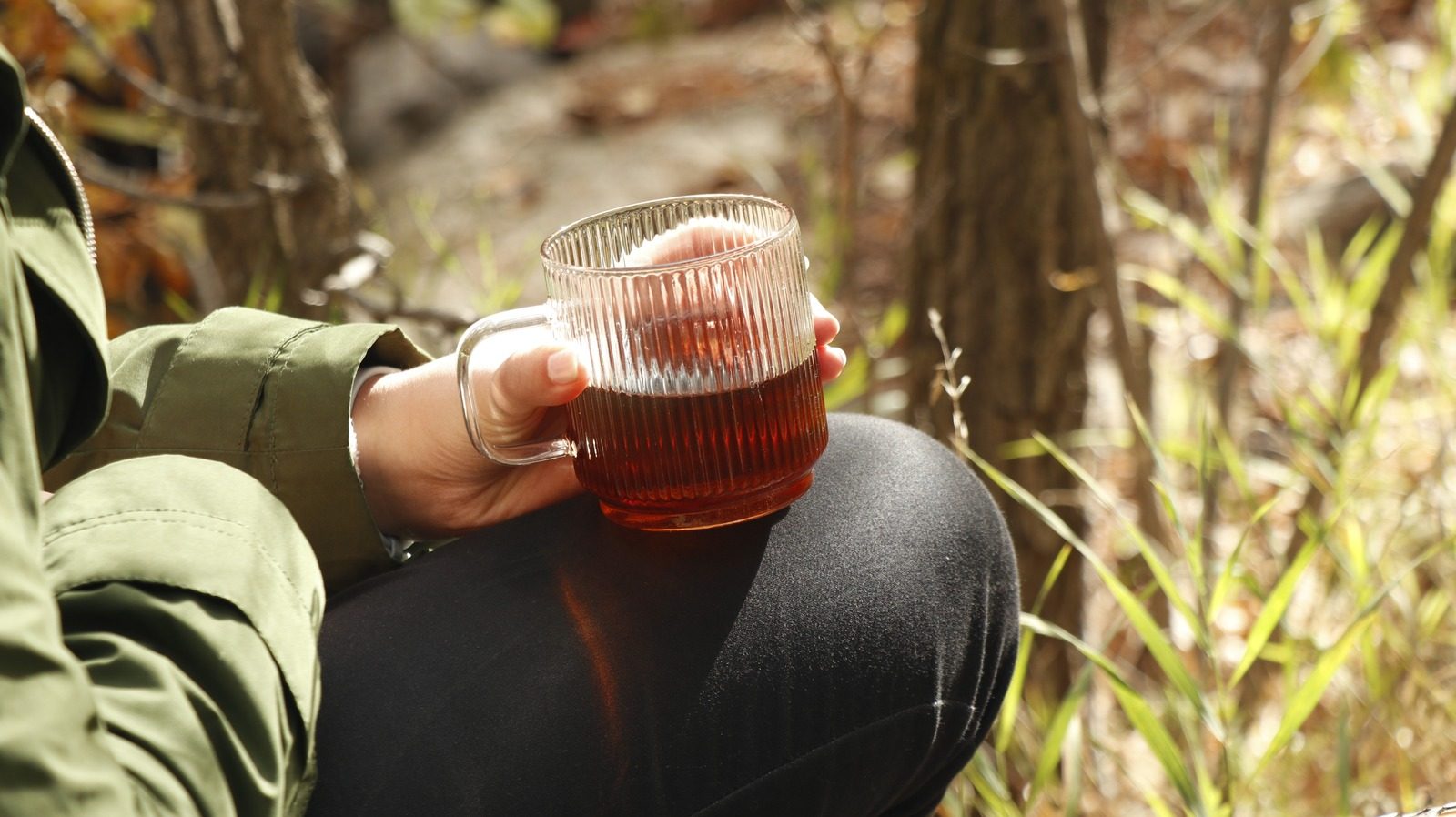 A close-up lifestyle photograph of a person holding a clear glass mug filled with freshly brewed loose-leaf tea while sitting among pine trees and native grasses. Warm afternoon sunlight filters through the forest, creating a peaceful atmosphere that reflects Tea Ranch's philosophy of slowing down and reconnecting with nature. Person holding a glass mug of loose-leaf tea while relaxing in a peaceful woodland setting.